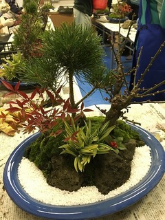 IMG_5747.jpg