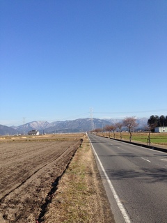 taiyo-ko-37.JPG